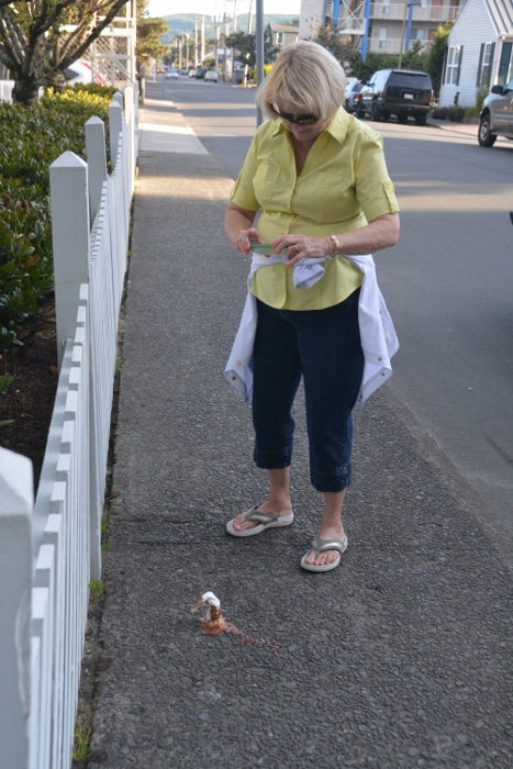 susan taking picture of dropped ice cream cone